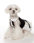 Mademoiselle Polka Dress