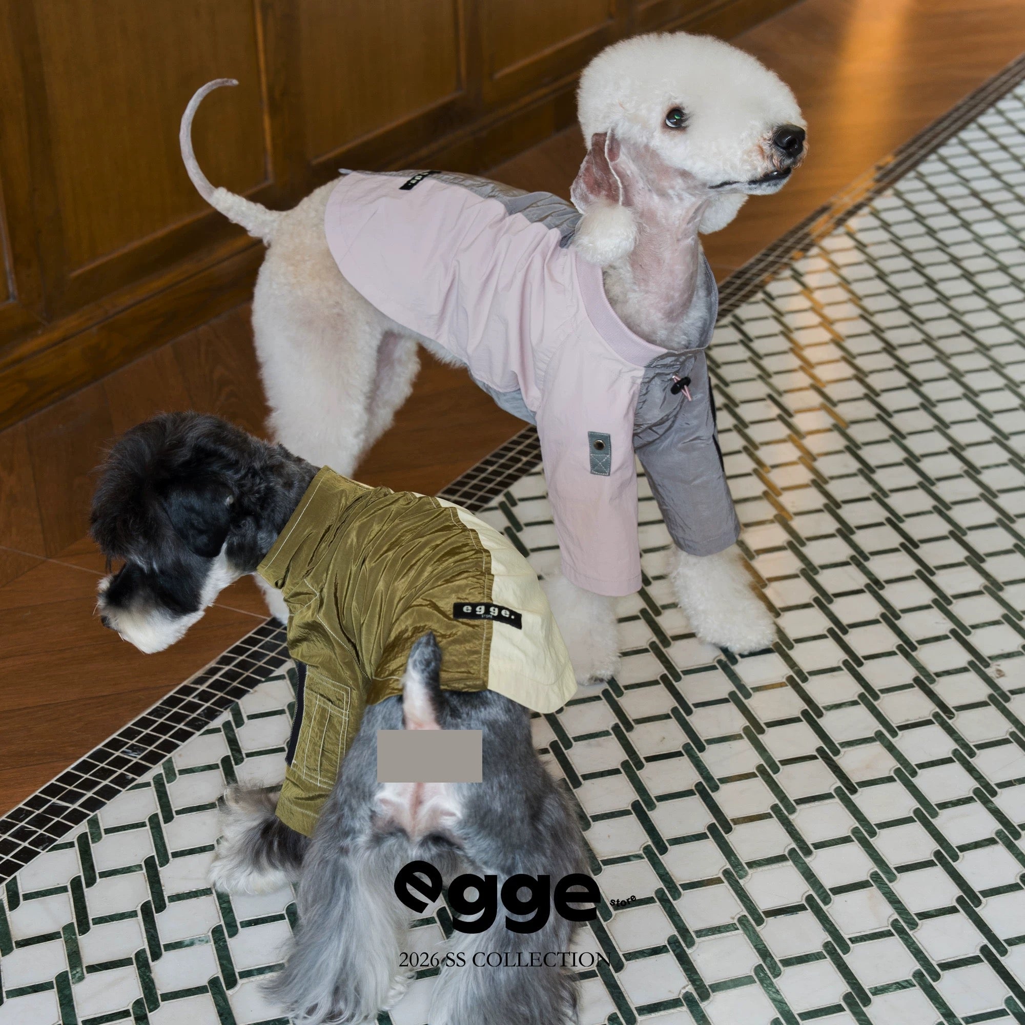 Ultra-Lightweight Breathable Waterproof Jacket