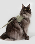 Mountain Valley Mini Horse Saddle Cat Harness & Leash Set