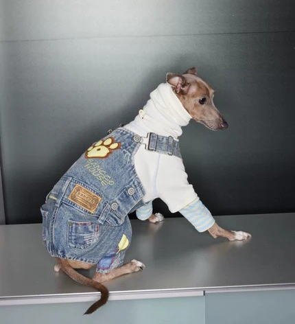 OVERALLS
