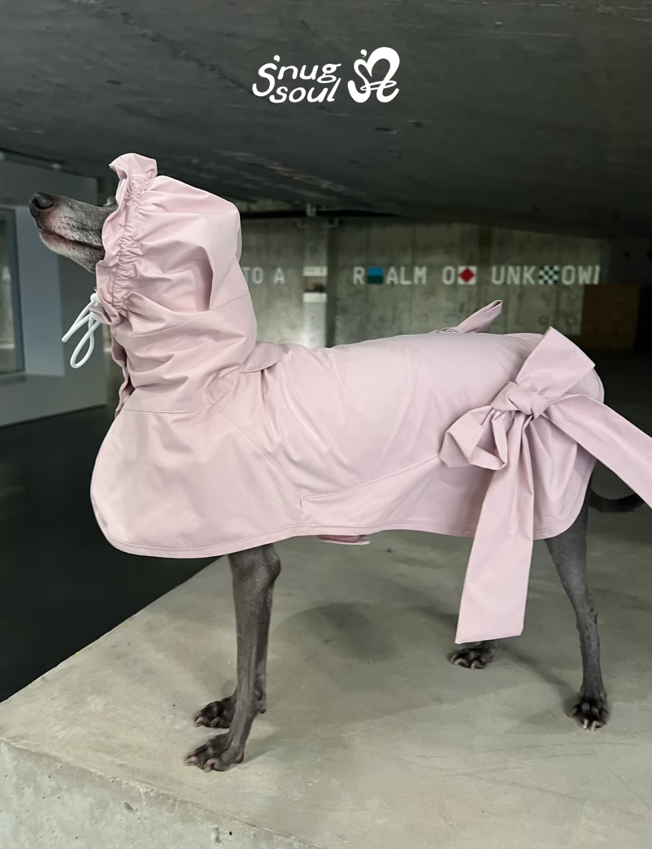 Ballerina Bow Raincoat