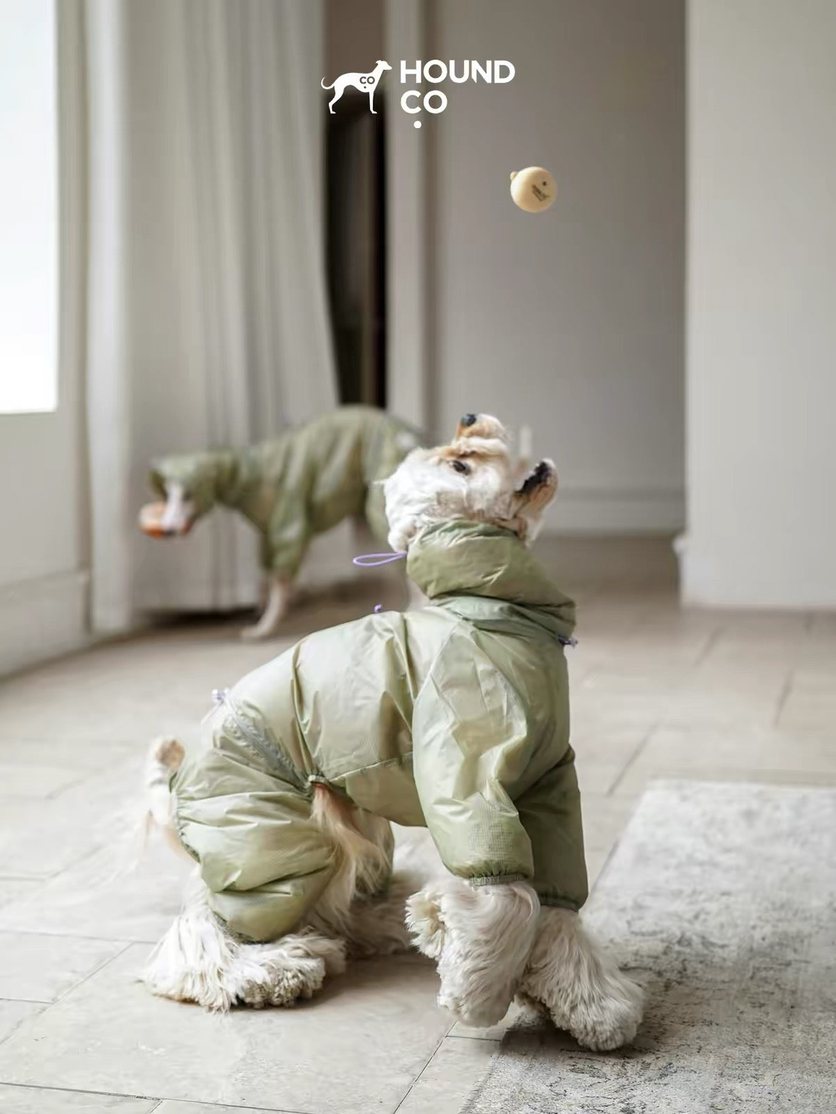 LightShield Waterproof Dog Raincoat