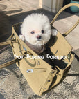 The Barkin Pet Carrier