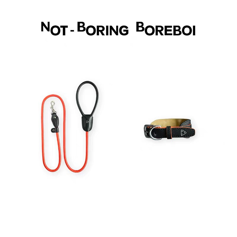 Urban Barkin Leather Walking Set