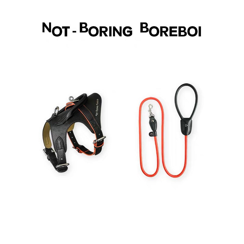 Urban Barkin Leather Walking Set