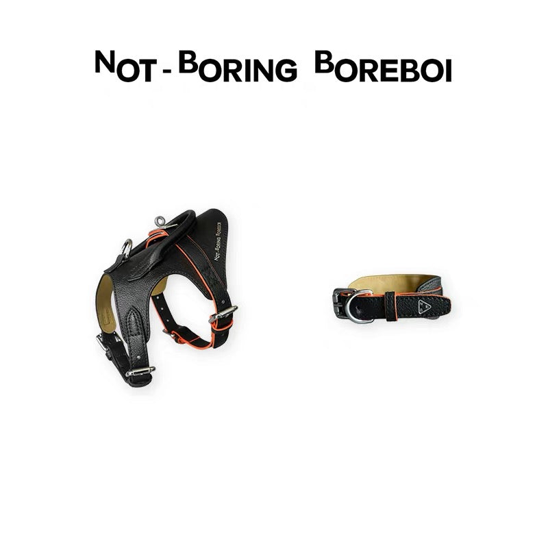 Urban Barkin Leather Walking Set