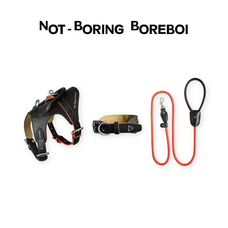 Urban Barkin Leather Walking Set