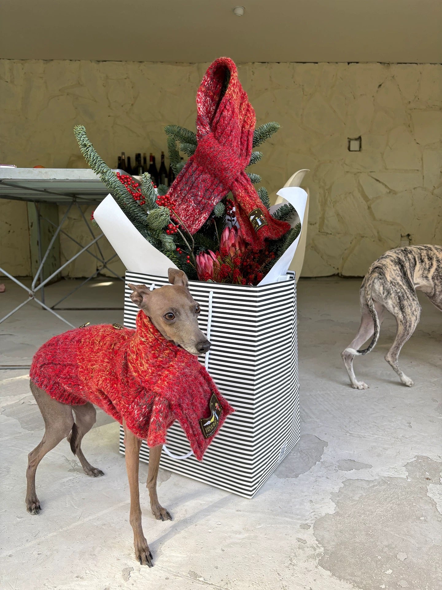 All I Want Is THIS Christmas Pup Sweater (FOR PETS) PRE-ORDER