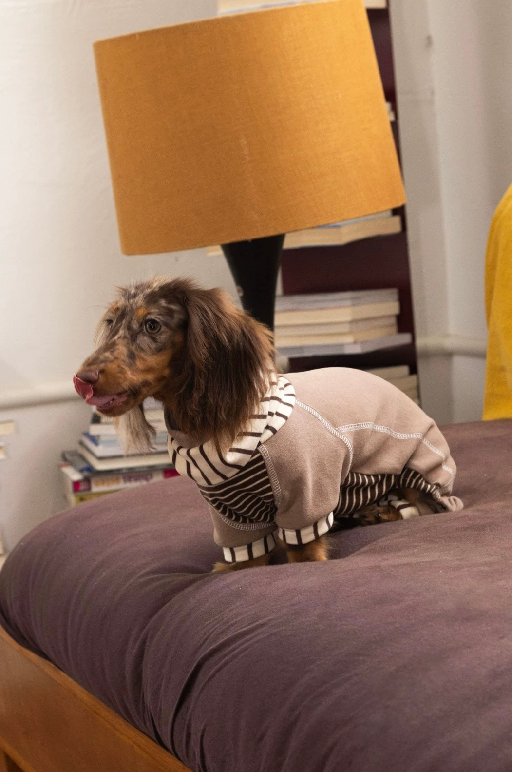 Caramel Stripe Four-Legged Hoodie