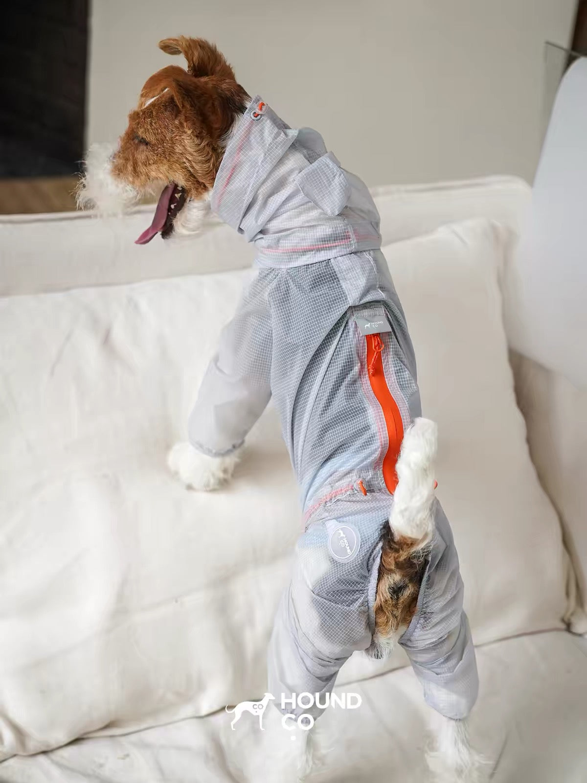 LightShield Waterproof Dog Raincoat
