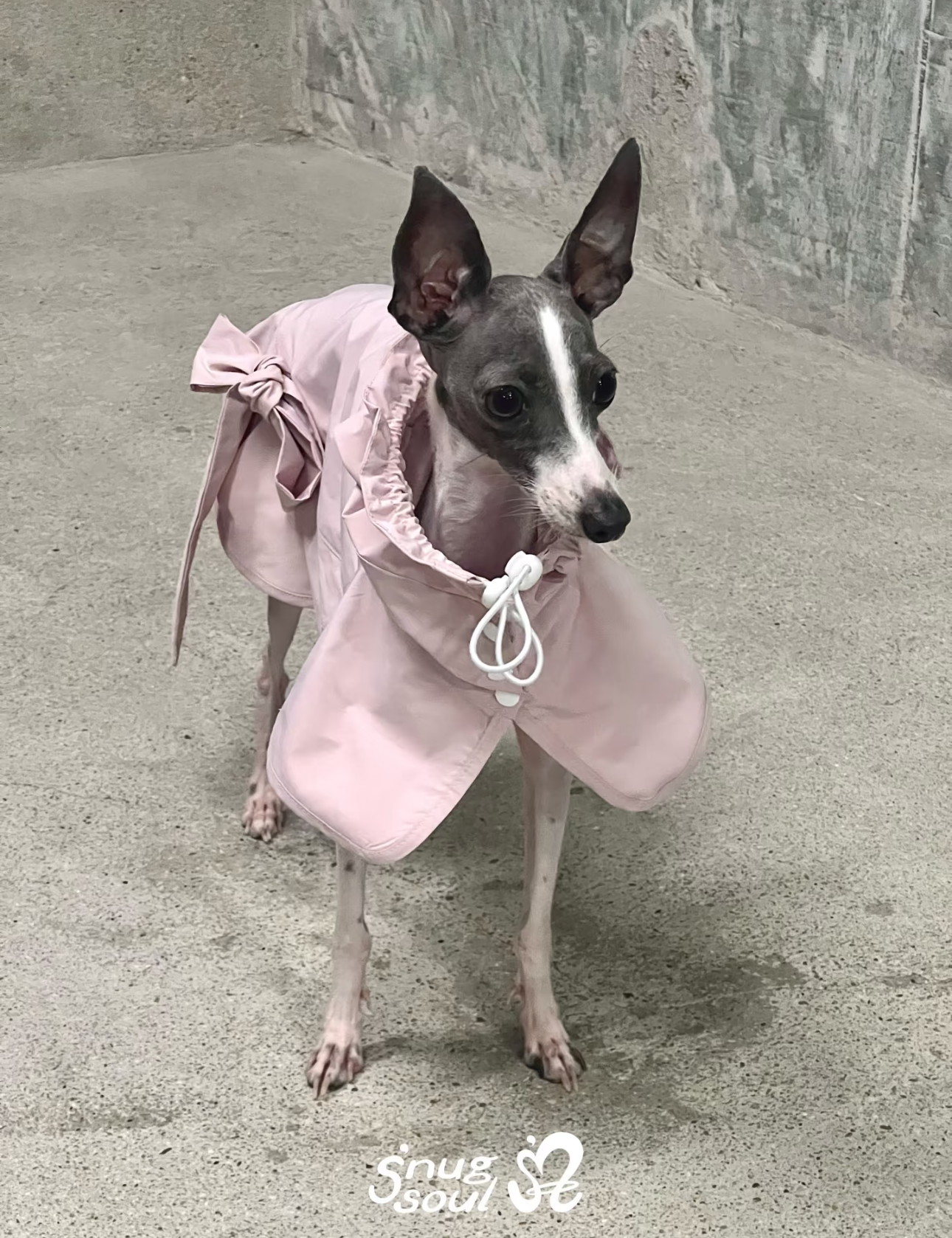 Ballerina Bow Raincoat