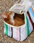 Gelato Stripe Carrier