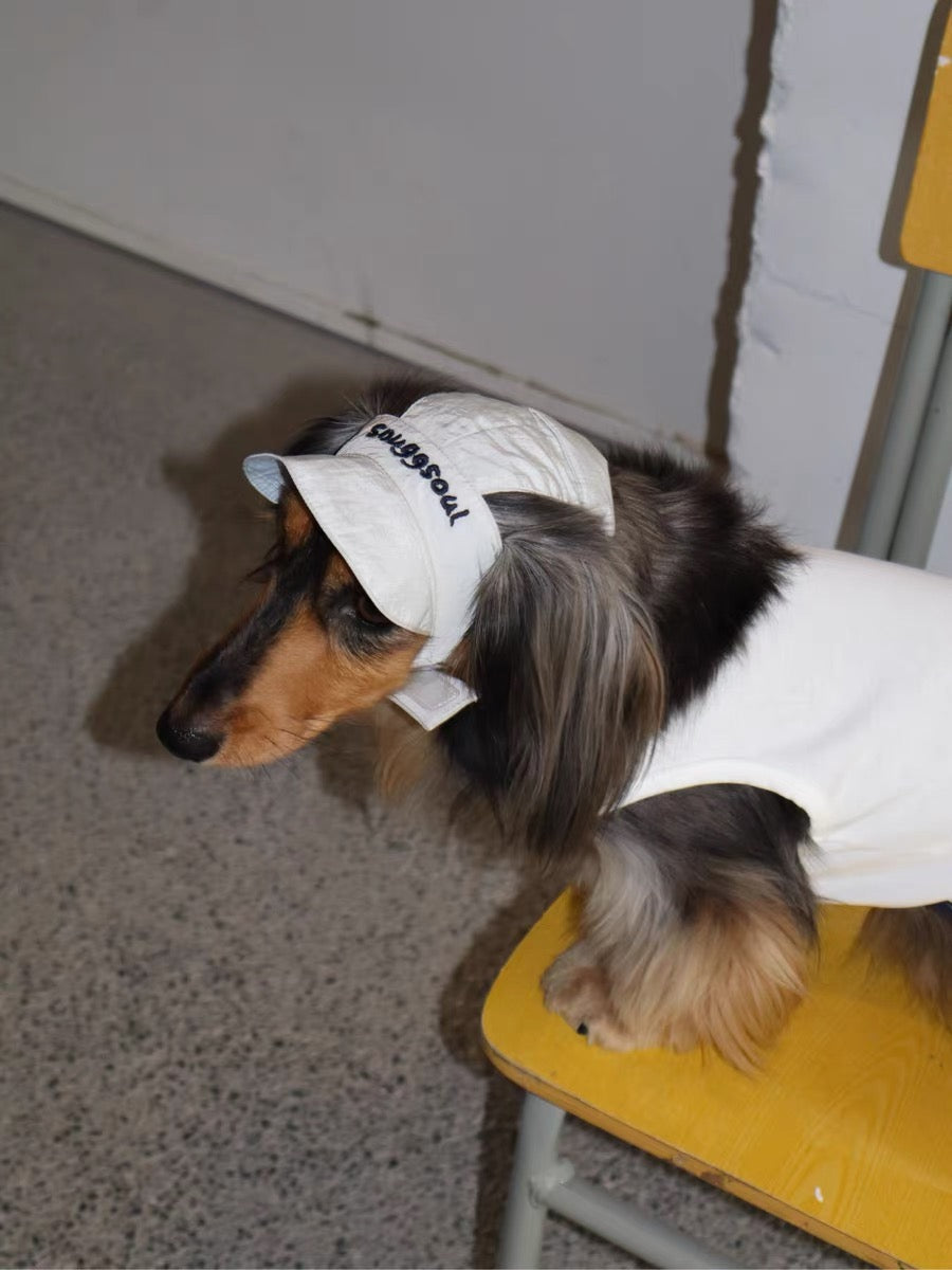 Milk Tea Reversible Cap