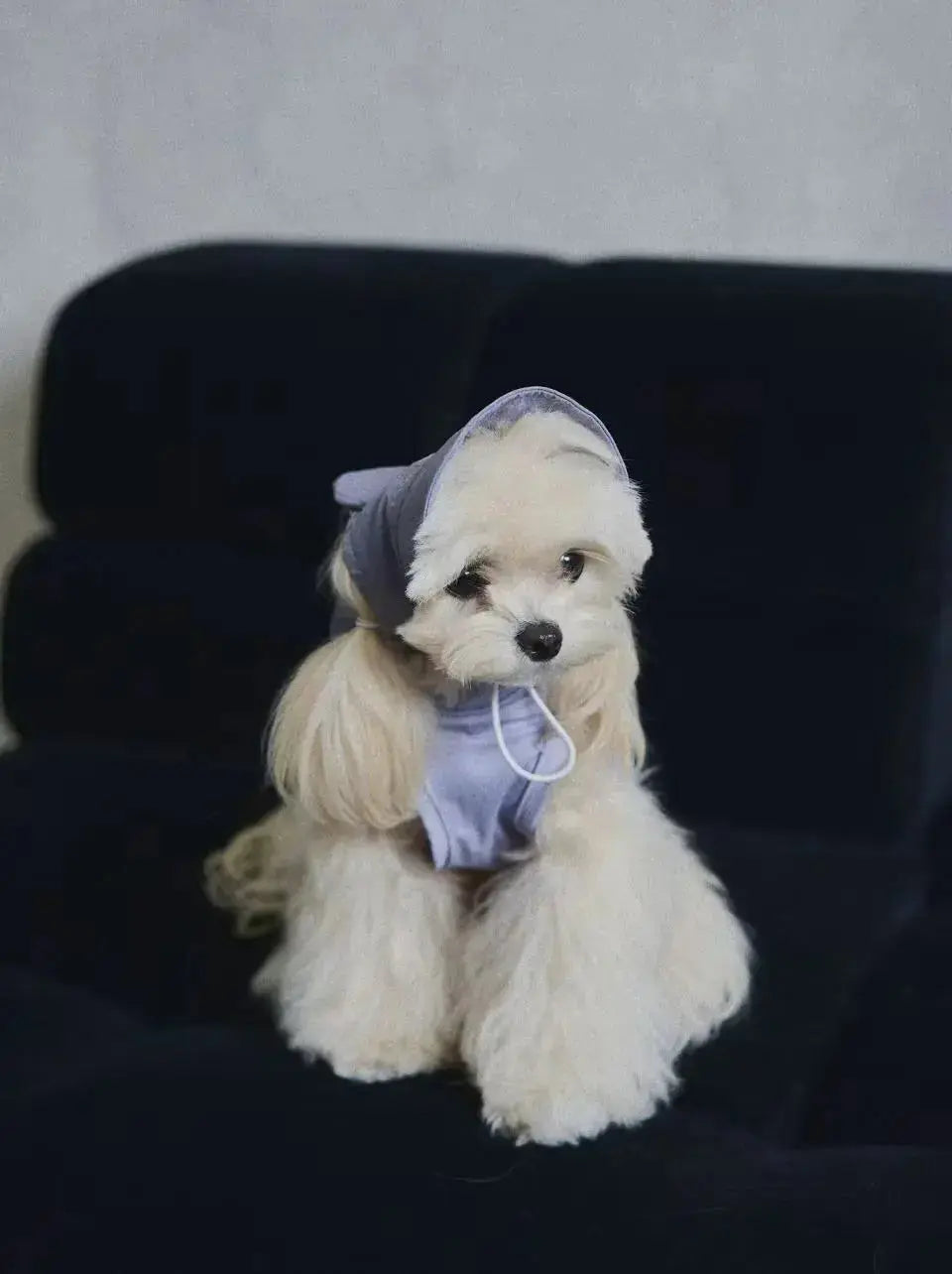Lilac Bunny Dog Cooling Hat