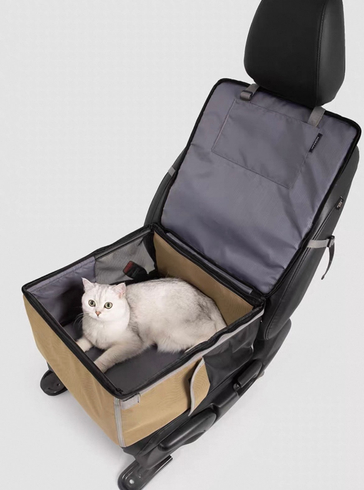 Roadtrip Companion Carrier