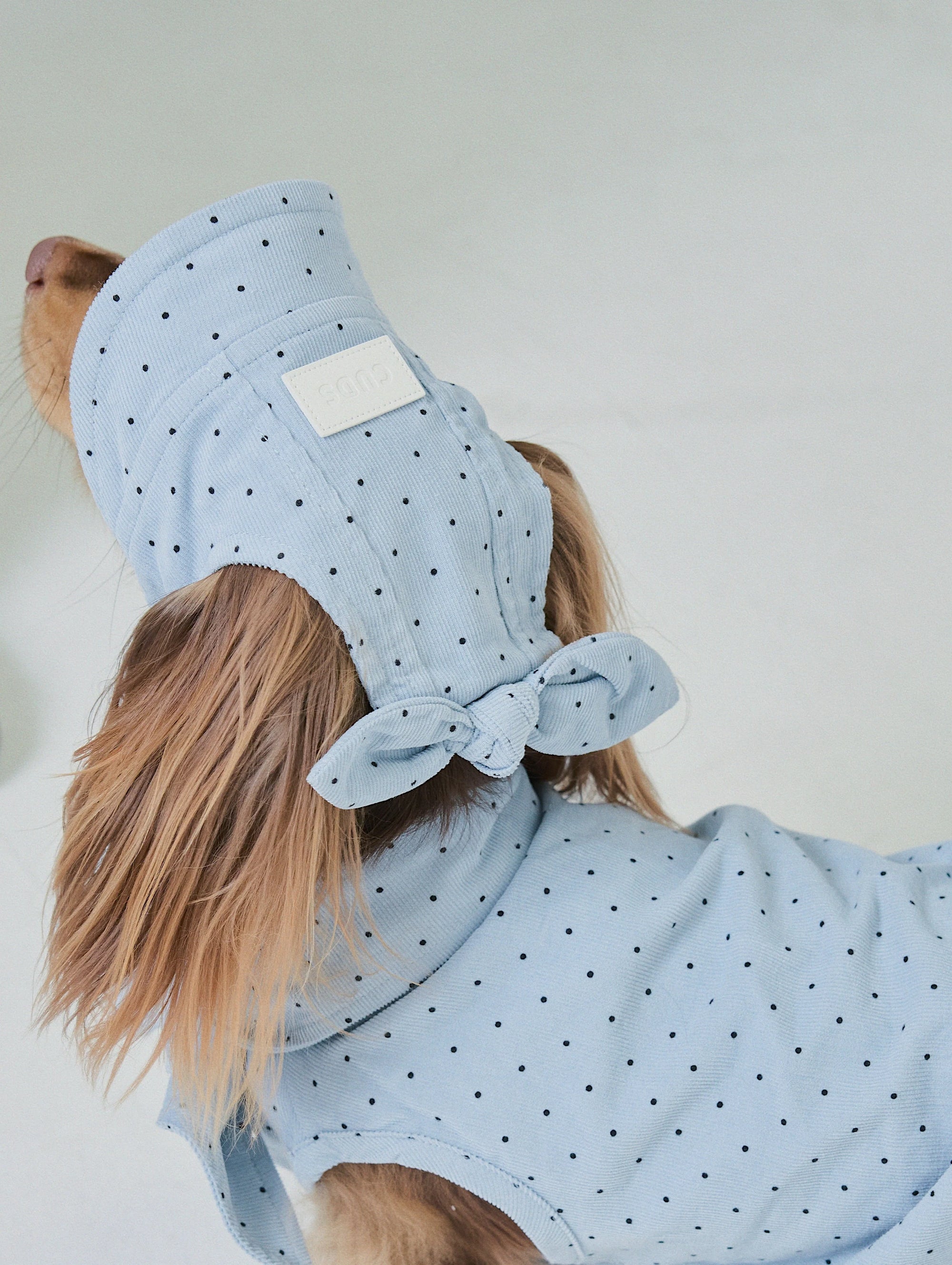 Blue Polka Dot Hat
