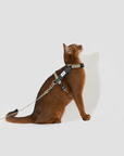 Mountain Valley Ergonomic Cat Harness & Leash Set