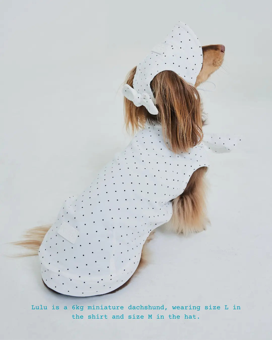 White Polka Dot Hat