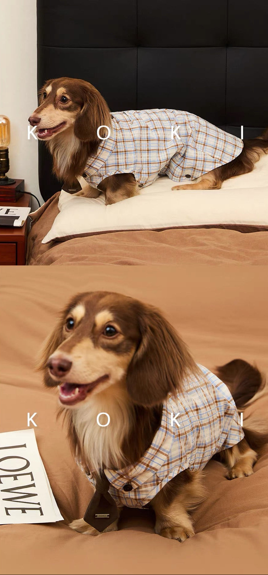 A long-haired brown dog wearing a beige and white plaid pajama shirt, shown in two stacked photos on a bed with a brown blanket and a dark headboard. The top photo shows the dog lying down, and the bottom photo shows it sitting up.