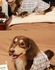 A long-haired brown dog wearing a beige and white plaid pajama shirt, shown in two stacked photos on a bed with a brown blanket and a dark headboard. The top photo shows the dog lying down, and the bottom photo shows it sitting up.