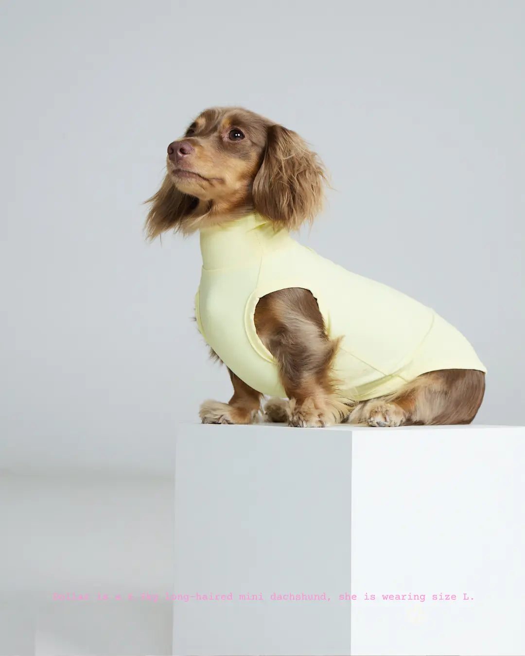 Butter Bunny Cooling Vest