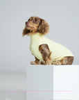 Butter Bunny Cooling Vest