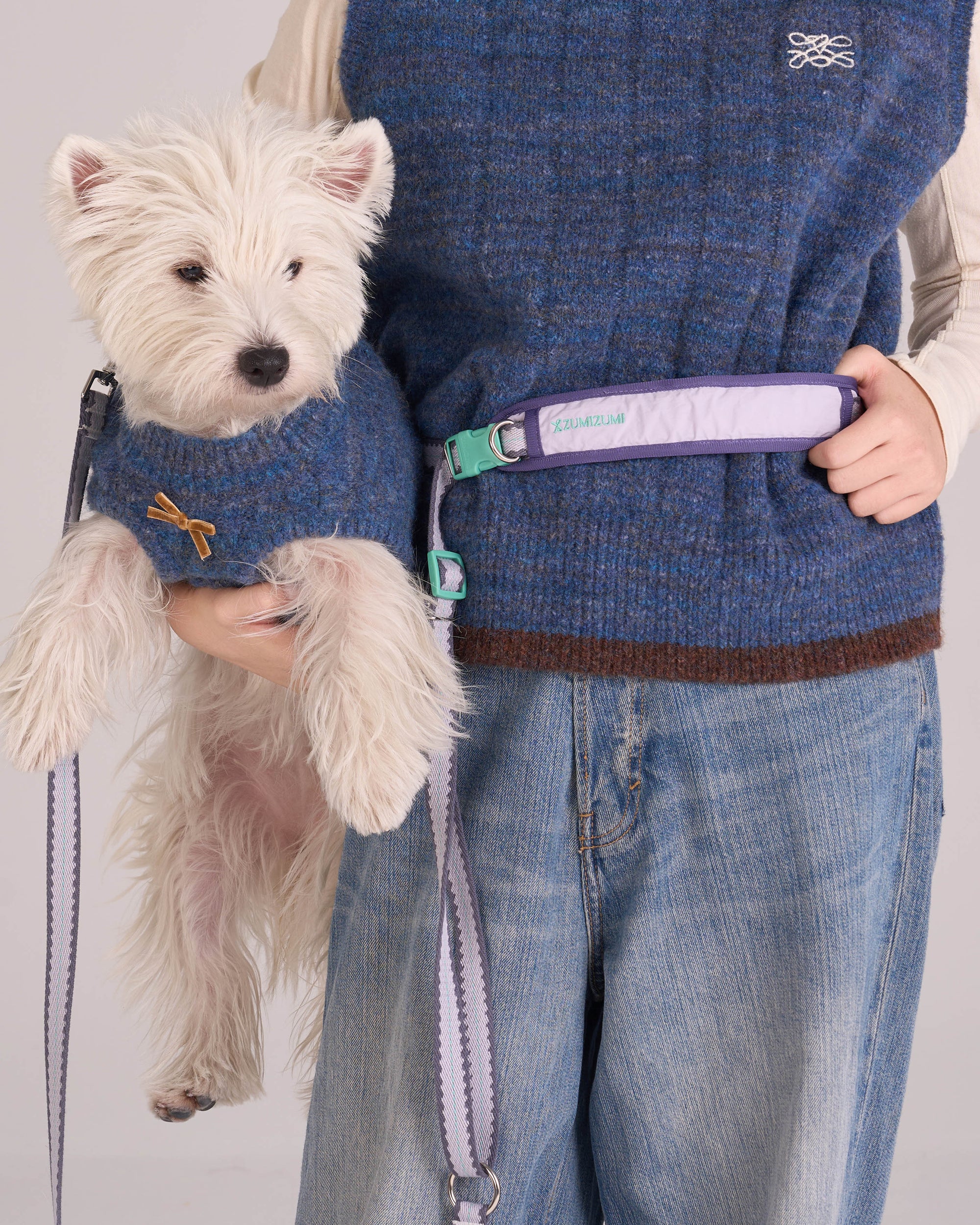 Hands Free Dog Leash Adjustable Pet Leash for Walking