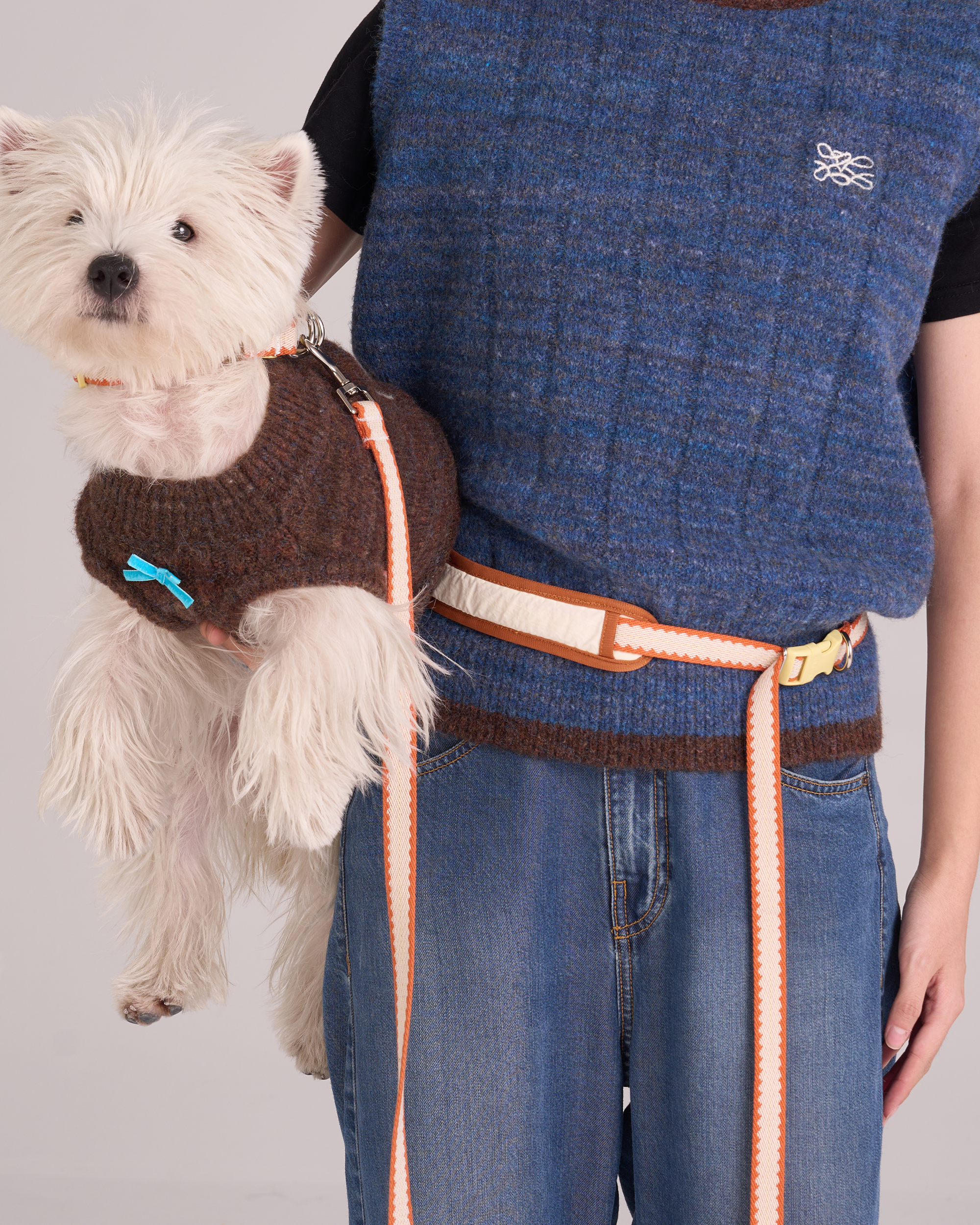 Hands Free Dog Leash Adjustable Pet Leash for Walking