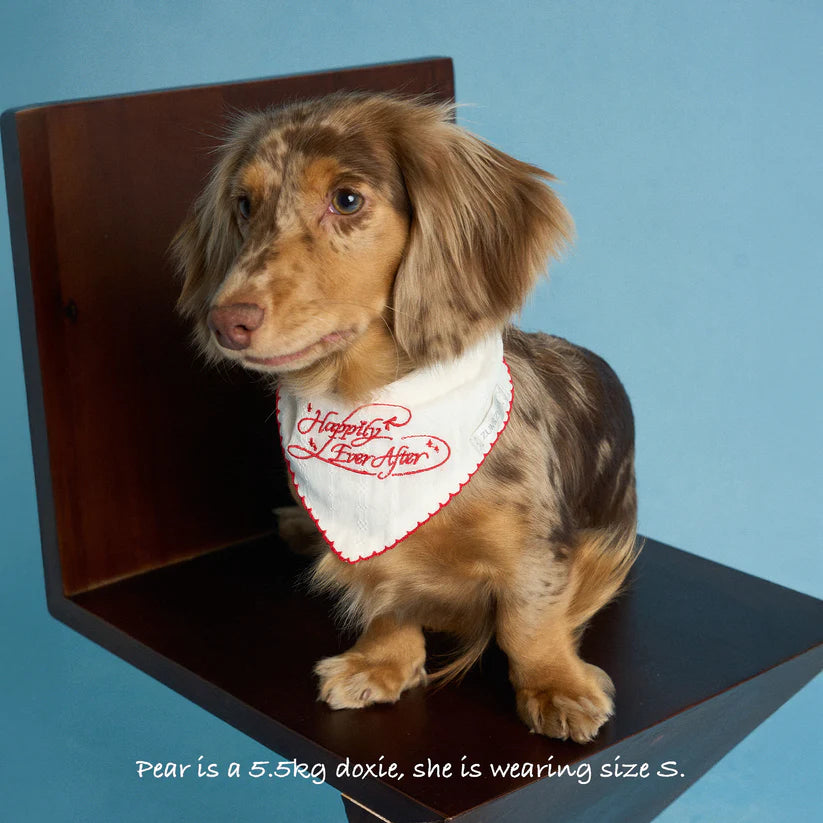 Happily Ever After Bandana -- Red
