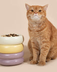 Stackable Serenity Cat Bowls