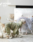 LightShield Waterproof Dog Raincoat