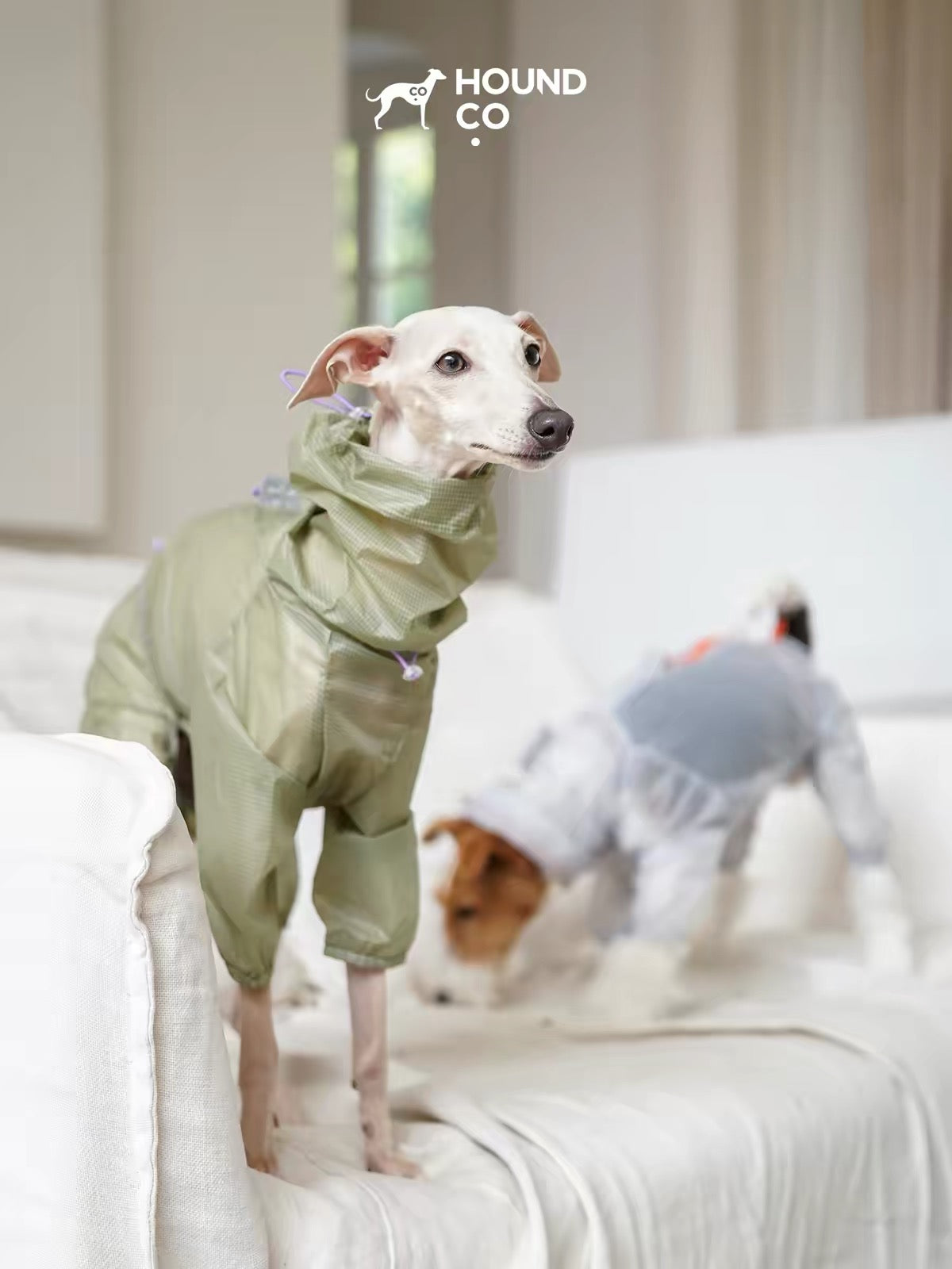 LightShield Waterproof Dog Raincoat