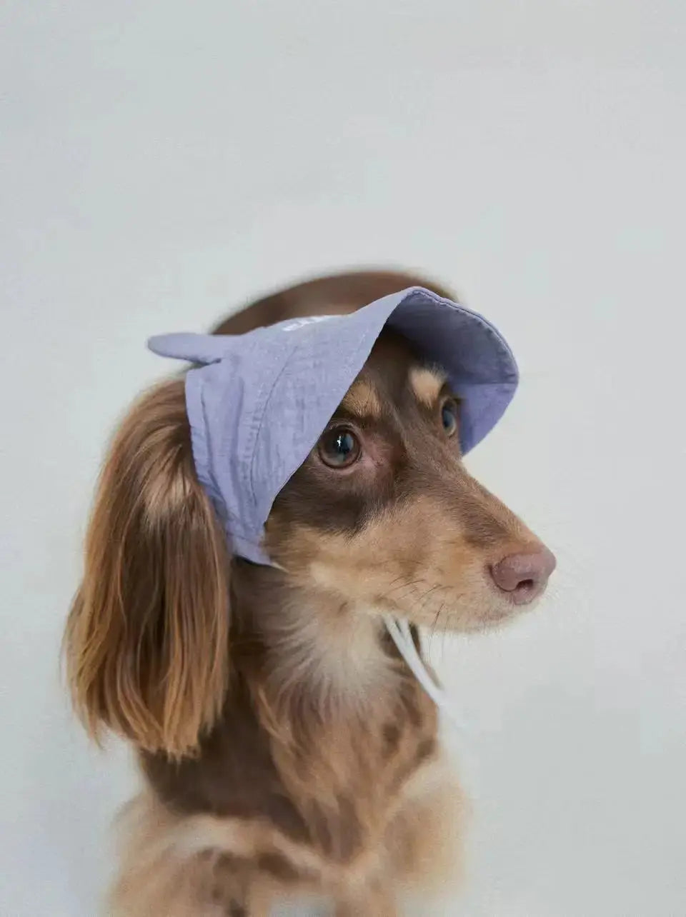 Lilac Bunny Dog Cooling Hat
