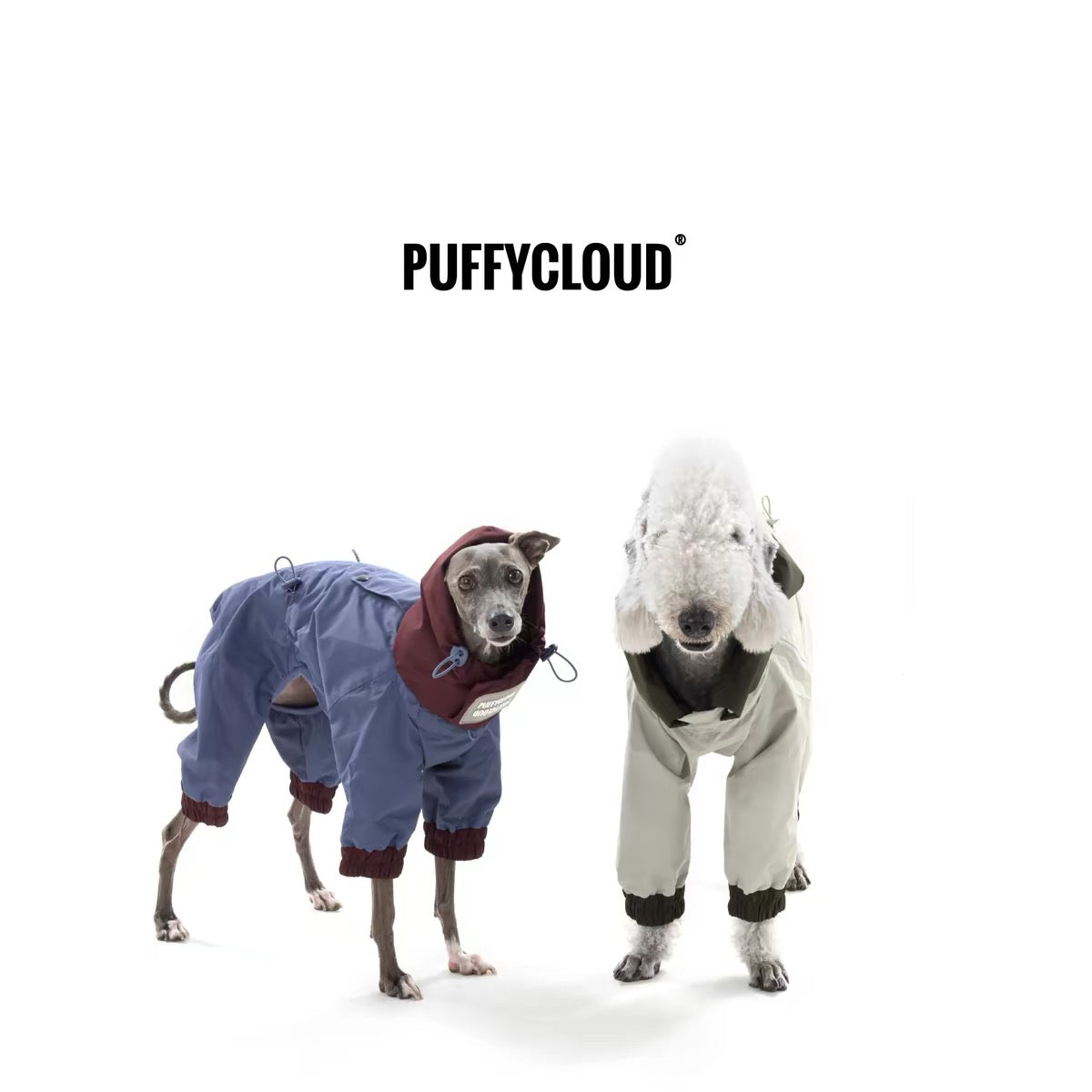 StormShield Outdoor Pet Raincoat