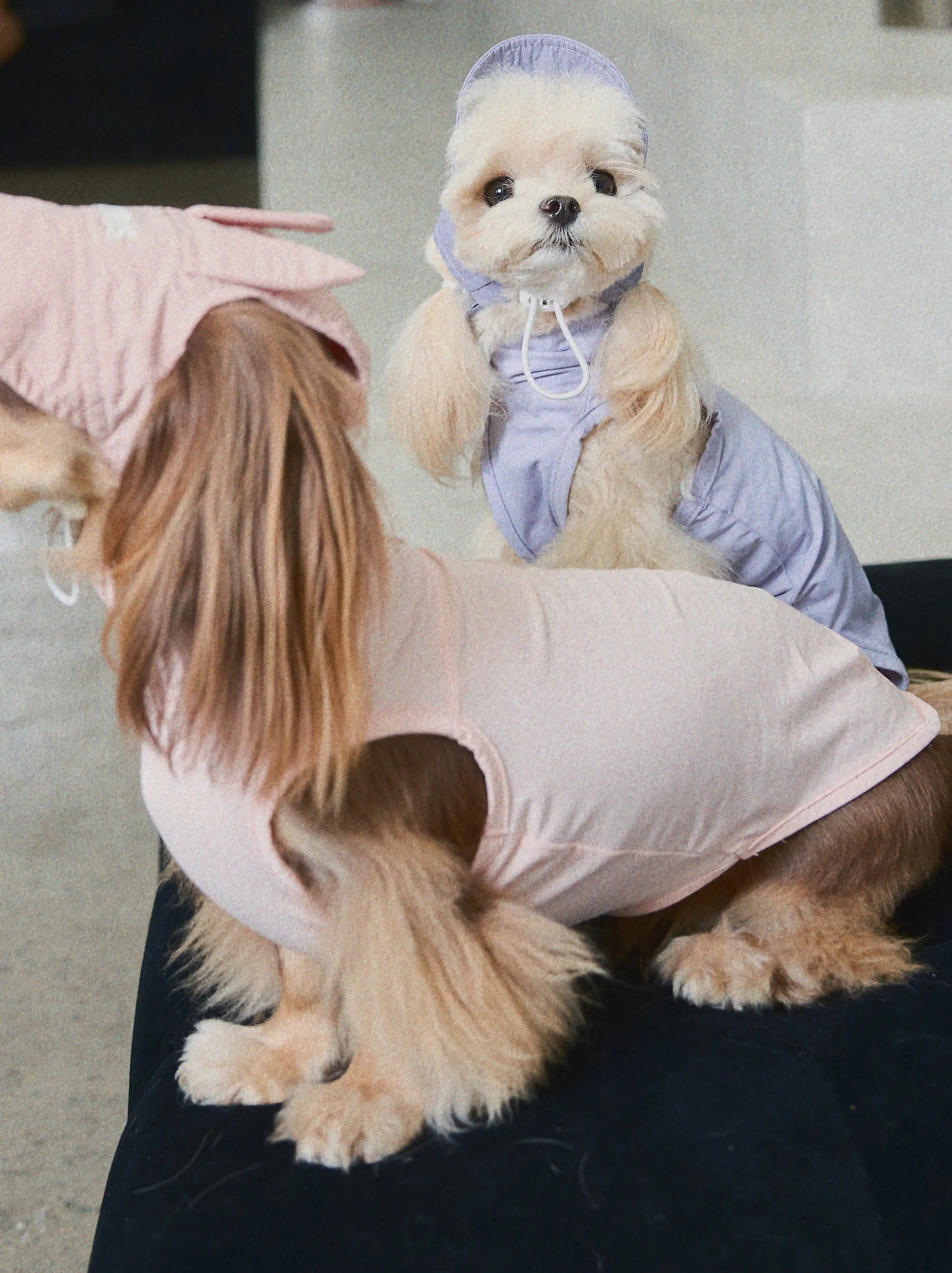 Lilac Bunny Dog Cooling Hat