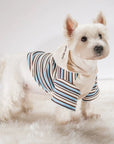 Stripe Contrast Embroidered Hoodie