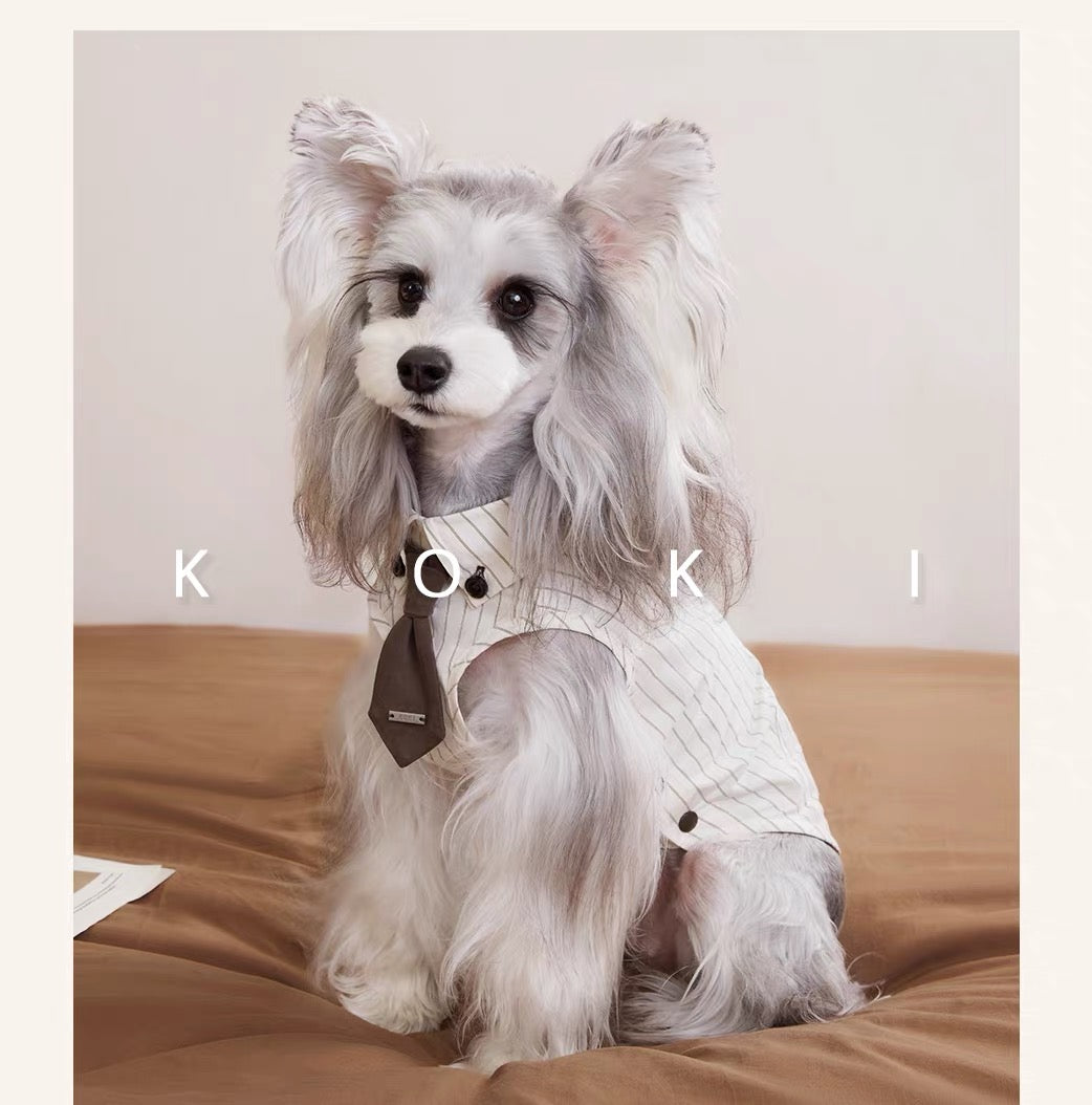 Preppy Plaid Dog Shirt with Collar and Tie