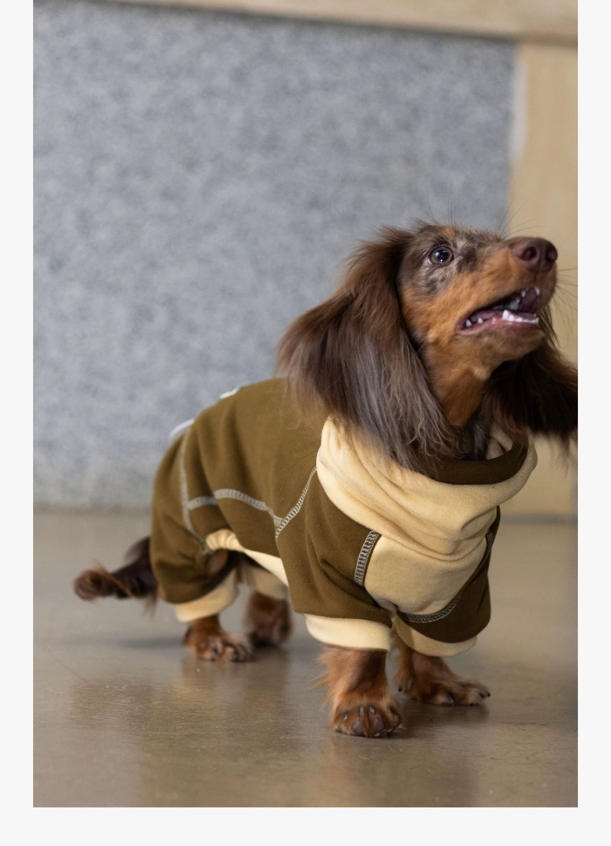 Ginger Chestnut Four-Legged