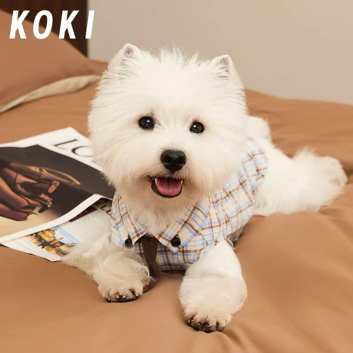 Preppy Plaid Dog Shirt with Collar and Tie