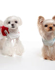Cherry Pirouette Pet Dress