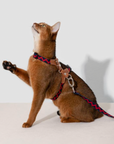 Bobo Series Geometric Harness