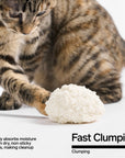 Pidan Cassava Cat Litter