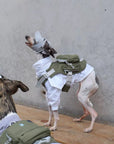 Little Ranger Backpack Harness