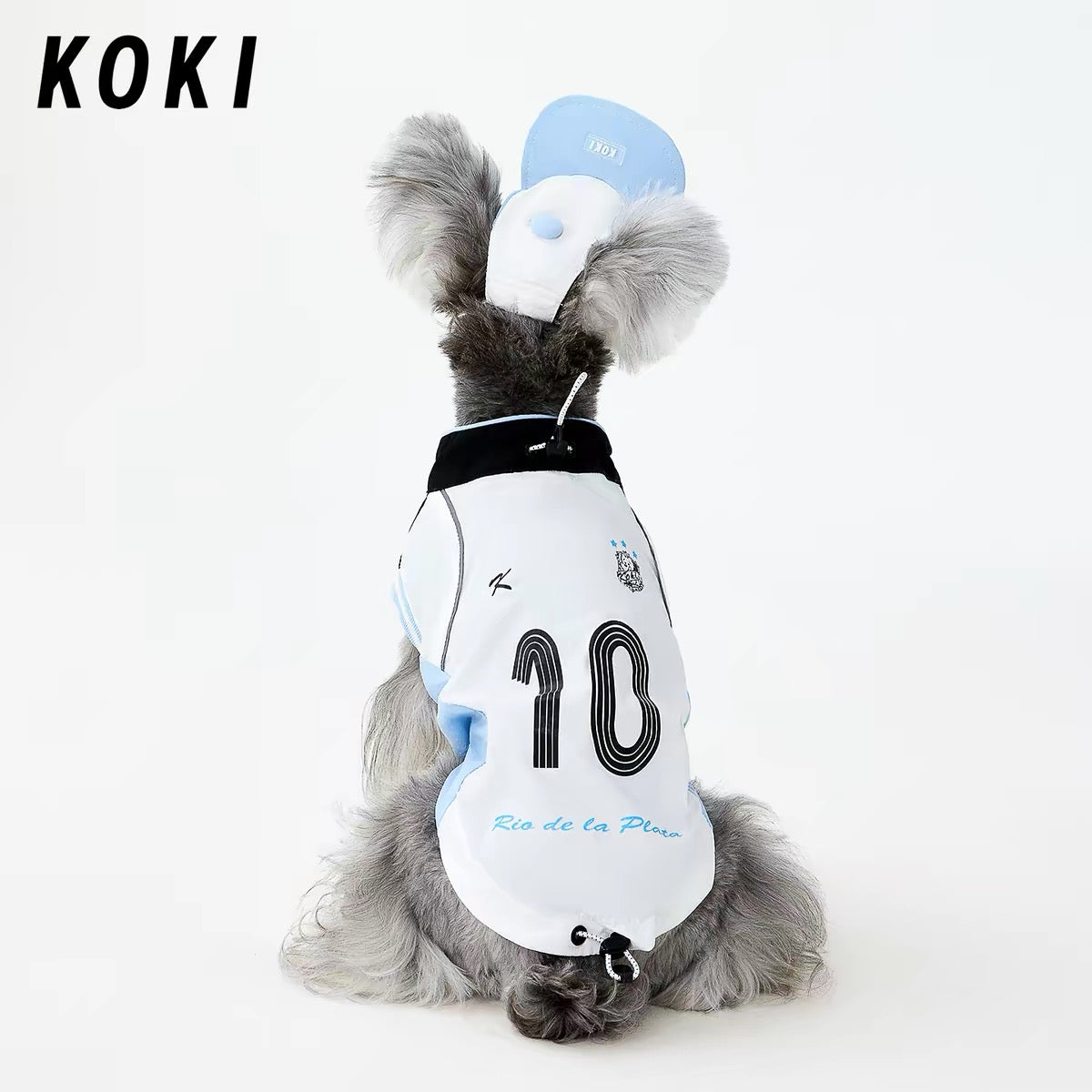 2026 World Cup Champions Football Pet Tee