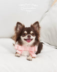 Bow Bib Bandanas