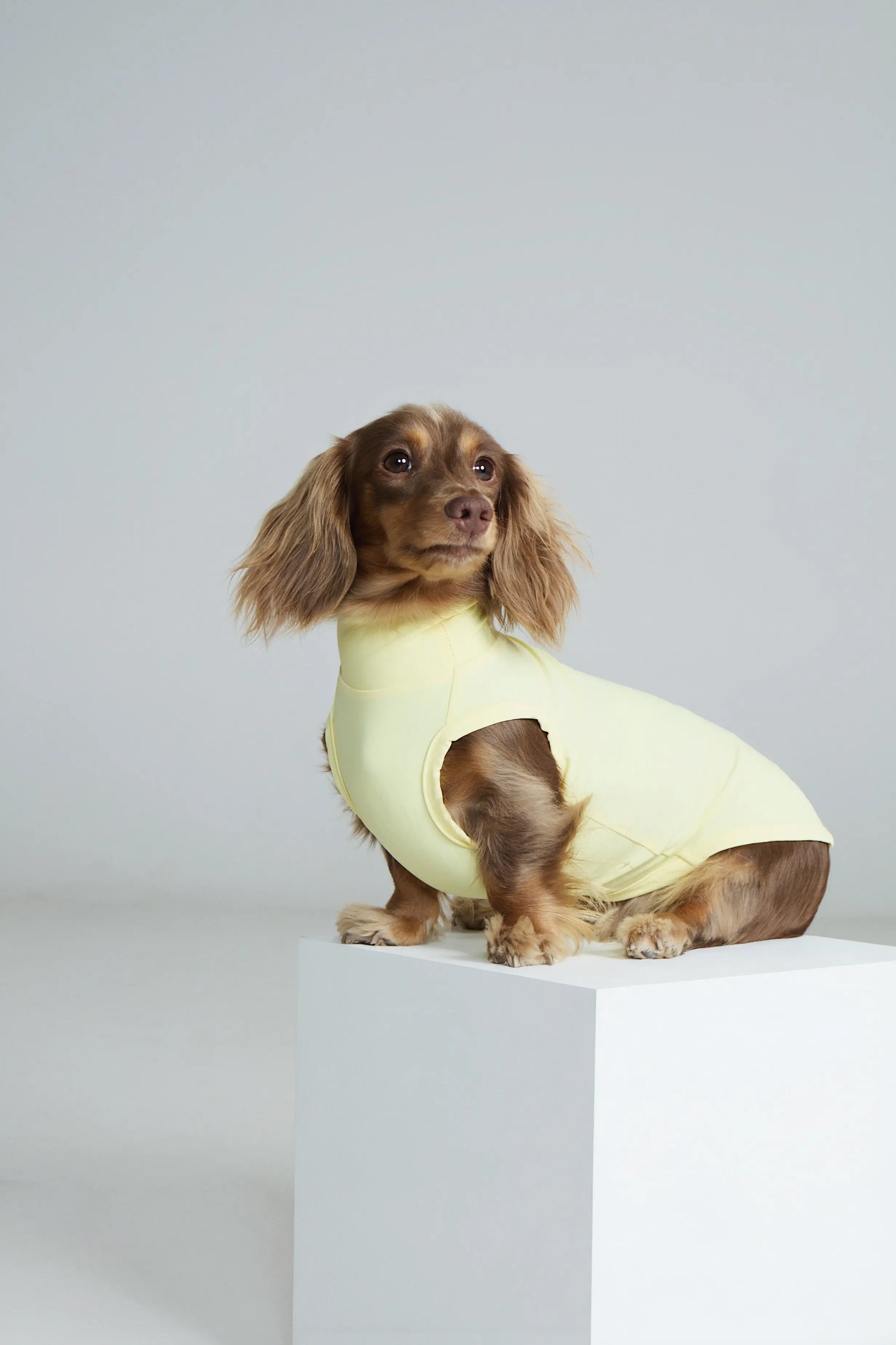 Butter Bunny Cooling Vest