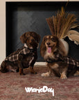 Fireside Vintage Plaid Cardigan Vest