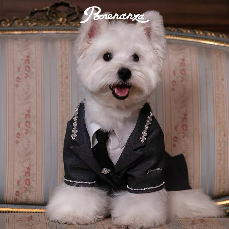 Banquet Diamond Dandy Suit Set