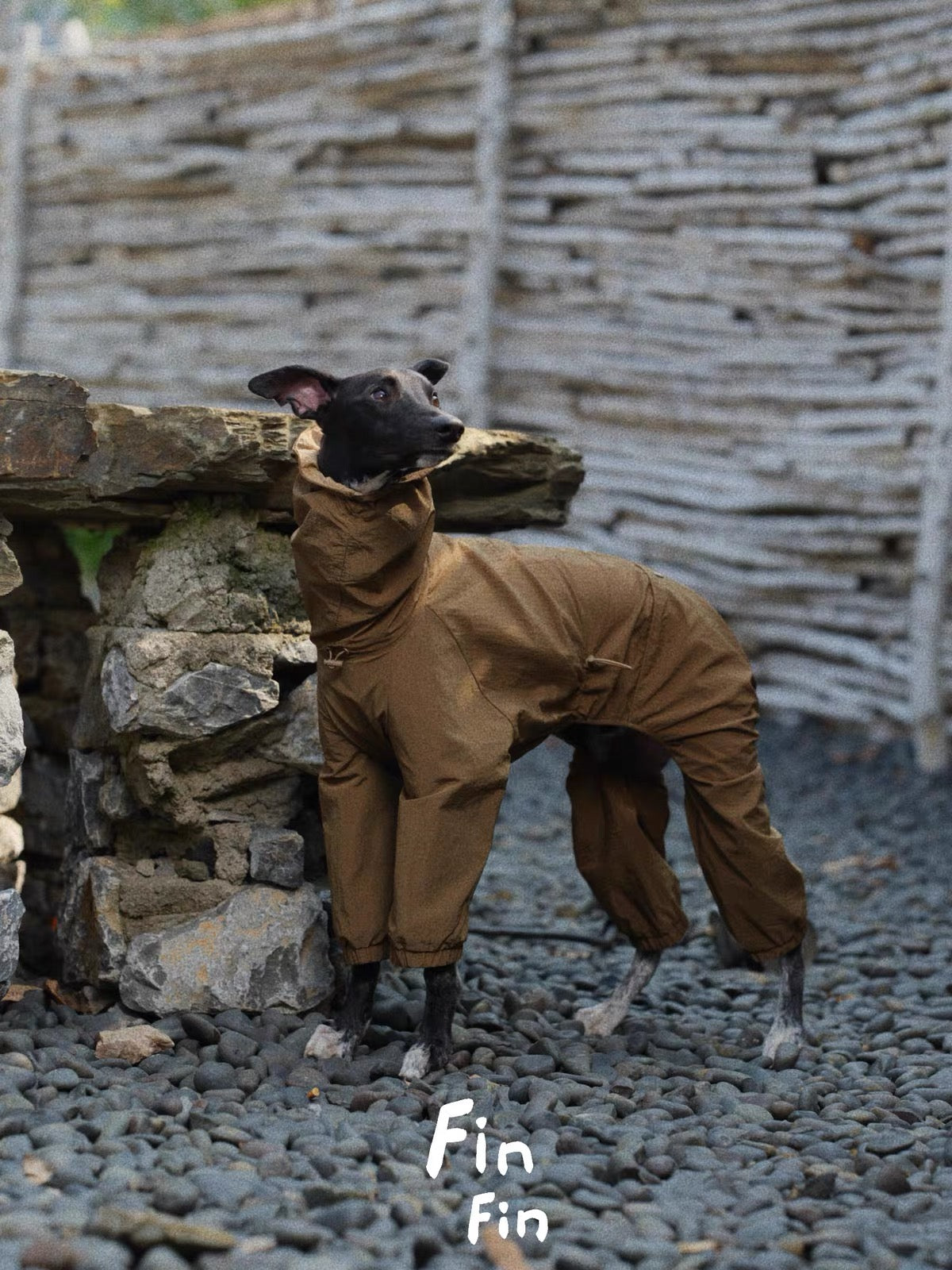 Mountain Reversible Waterproof Raincoat