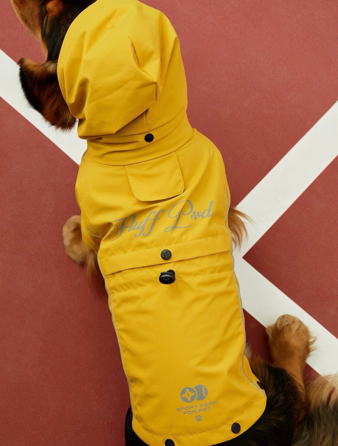 Golden Trail Rain Suit